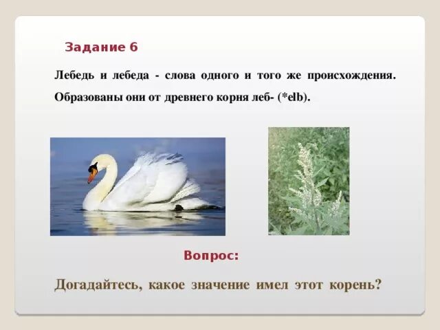 Мягкое слово лебедь. Слово лебедь. Предложение про лебедя. Четыре предложения о лебедях. Лебедь задания.