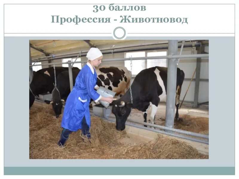 Ветеринар на ферме. Проект профессия животновод. Сообщение труд животноводов. Ветеринар крс. Работник фермы.