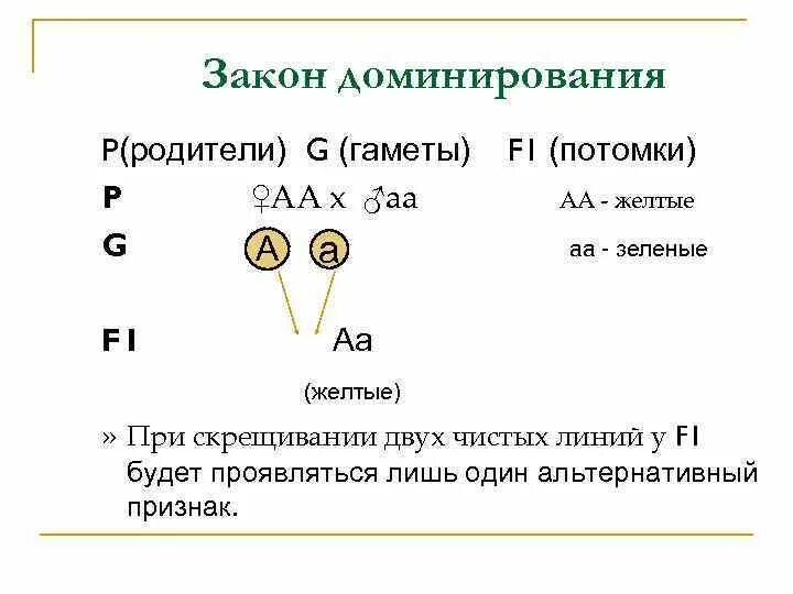 Закон кодаминирования. Закон доминирования. Типы гамет. Закон доминирования Менделя.