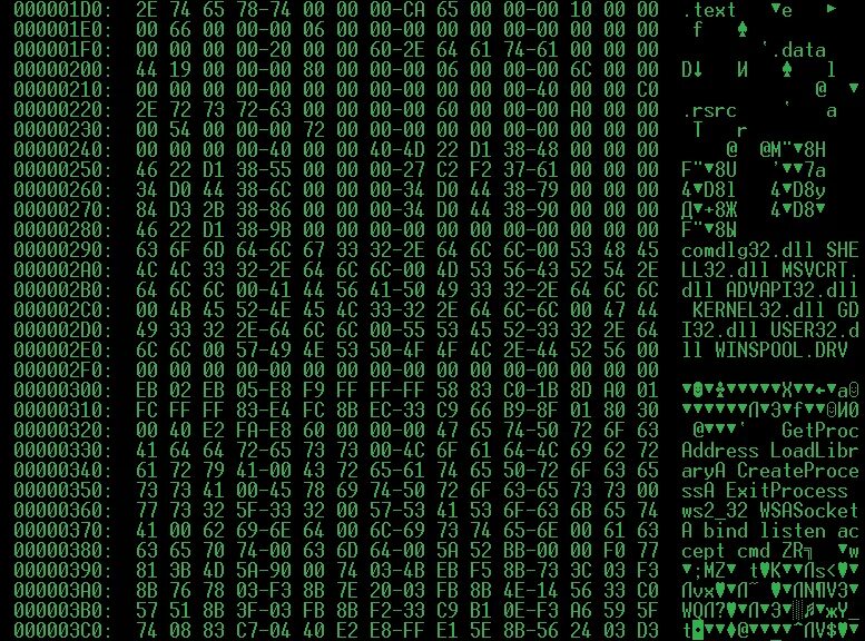 Двоичный машинный код. Машинный код. Машинные коды. Машинный язык программирования. Машинный код компьютера.