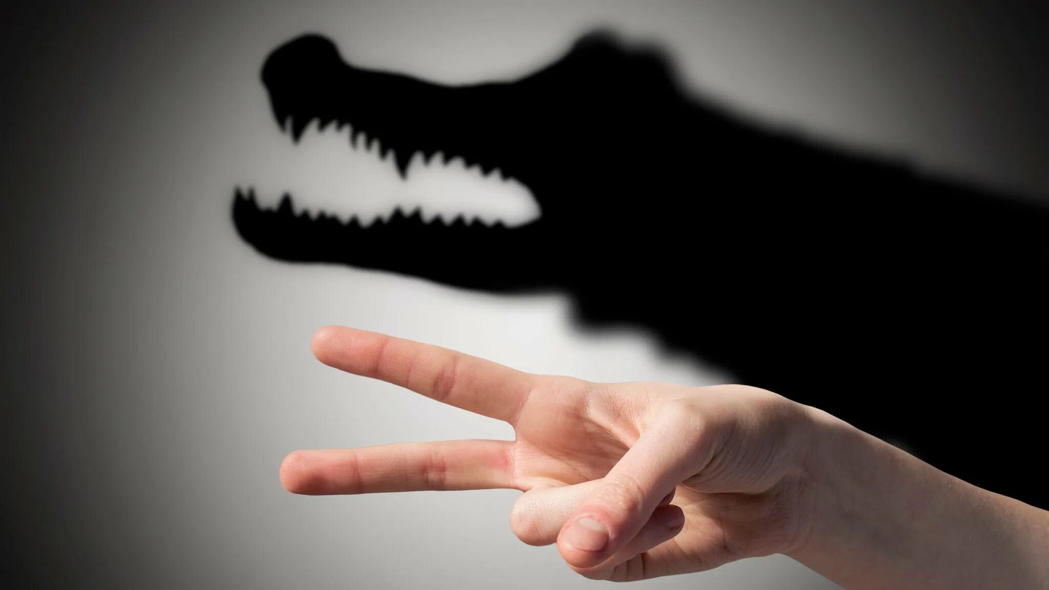 Страх резка. Человек боится. Фобии картинки. Марк уолберг и риз уизерспун. Главный страх.