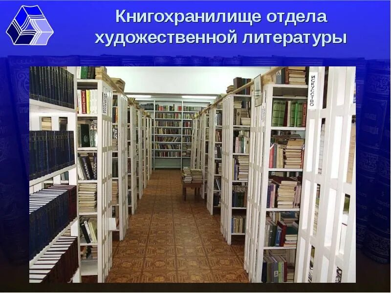 Библиотека специальная литература. Хранилище библиотеки. Отдел художественной литературы в библиотеке. Художественная литература в библиотеке. Книгохранилище библиотеки.