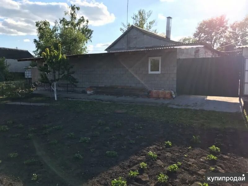 Селиховы дворы курская область. Селиховы дворы Курский район. Деревня Селиховы дворы Курск. Селиховы дворы Курская область д. Духовец.