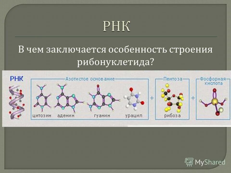 Белок высокомолекулярное соединение