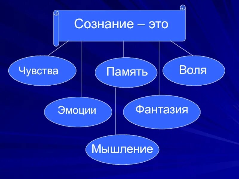 Эмоции чувства воля. Сознание. чувства память воля эмоции фантазии мышление. эмоции это в философии.