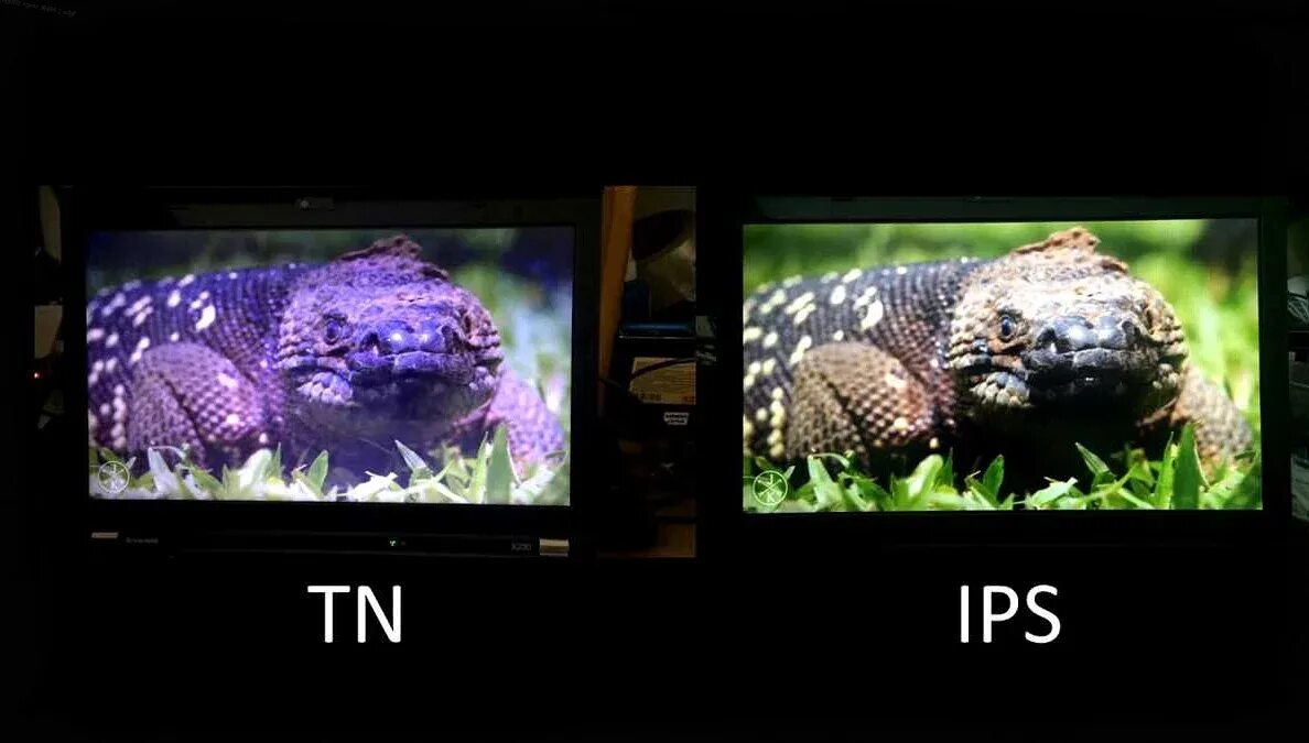 Сравнение ips. Матрица монитора tn ips va. tn матрица vs ips. тип экрана ips ips tn+film. типы мониторов ips va tn.
