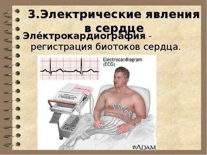 Сердце явления
