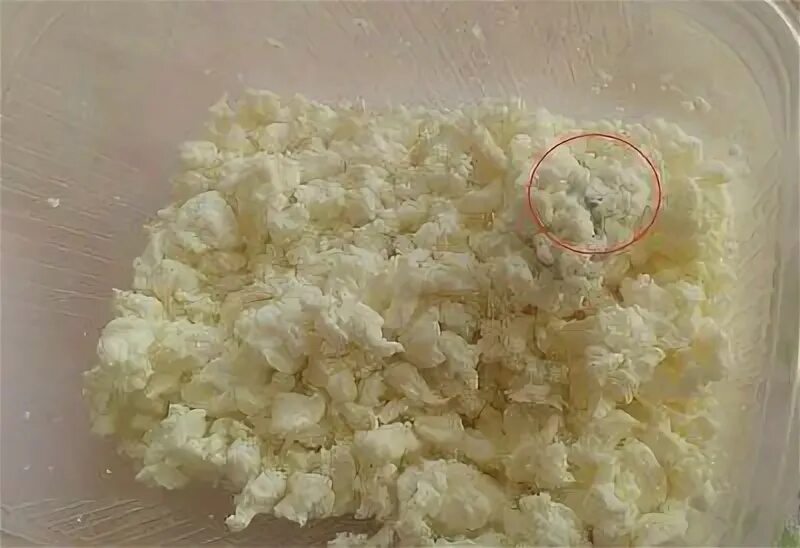 Есть просроченный творог. Протухший творог. Что будет если съесть просроченный творог. Плесень на твороге. Дефекты творога фото.