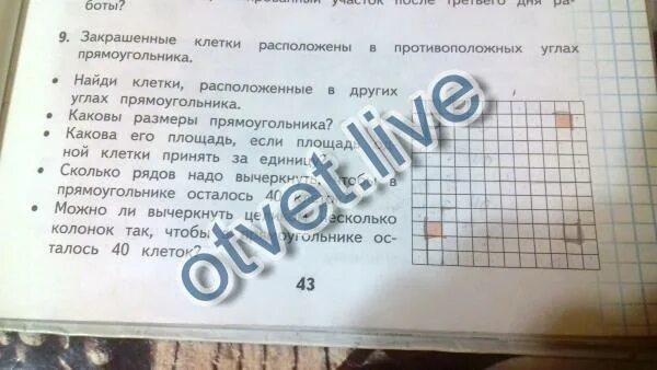 Закрашенные клетки расположены