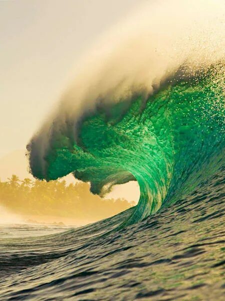 Зеленая волна фото Dee Why On Fire Chris Eyre-Walker Photography