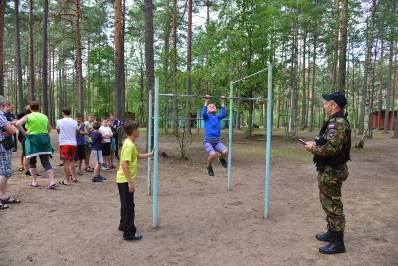 Дол волна ленинградская. Лагерь волна Выборгский район. Лагерь волна СПБ. Оздоровительный лагерь волна Ленинградская область. Волна лагерь в Ленинградской.