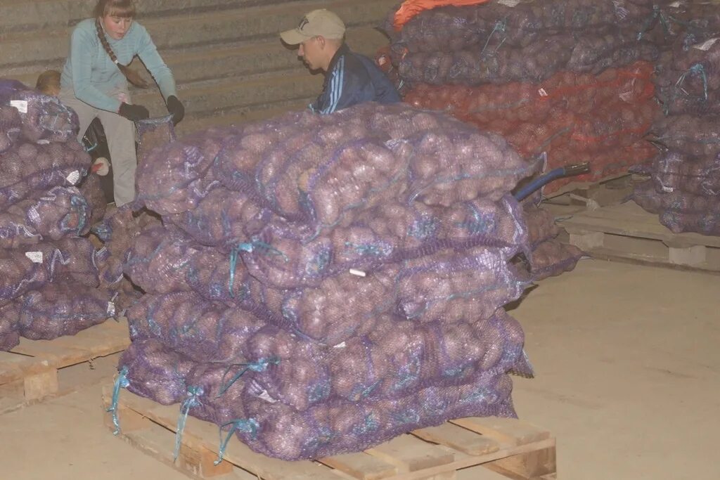 усольский завод молокозавод. красноярская дистанция сцб. читинская джд. стела поселок железнодорожный усольский район. джд чита.