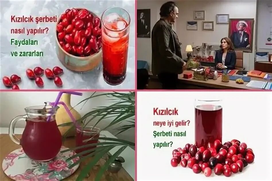 Kızılcık şerbeti 90 bölüm. Kızılcık şerbeti 90 bölüm. Kızılcık şerbeti 90 bölüm. Kızılcık şerbeti 90 bölüm. Kızılcık şerbeti 90 bölüm.