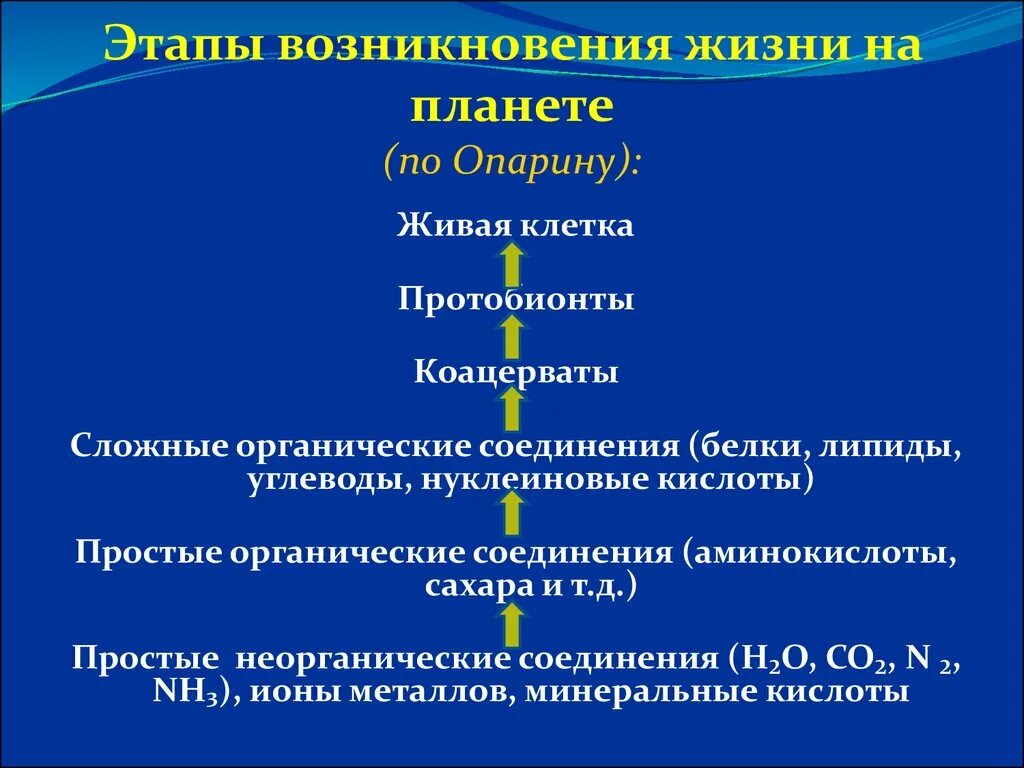 Начальные этапы развития жизни 9. Этапы процесса происхождения жизни на земле. Этапы происхождения жизни по Опарину таблица. Возникновение жизни на земле основные гипотезы гипотеза Опарина. Теория зарождения жизни на земле Опарина.