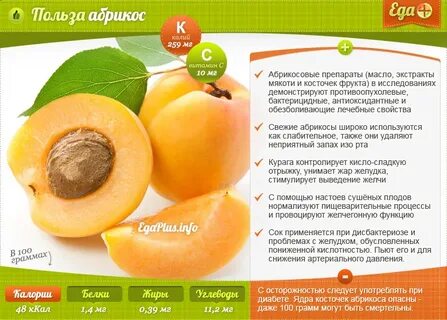 Абрикос витамины