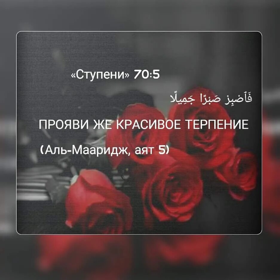 Прояви терпение аят. Аяты про терпение в коране. Исламские цитаты про терпение. Прояви красивое терпение аят. Прояви же красивое терпение.