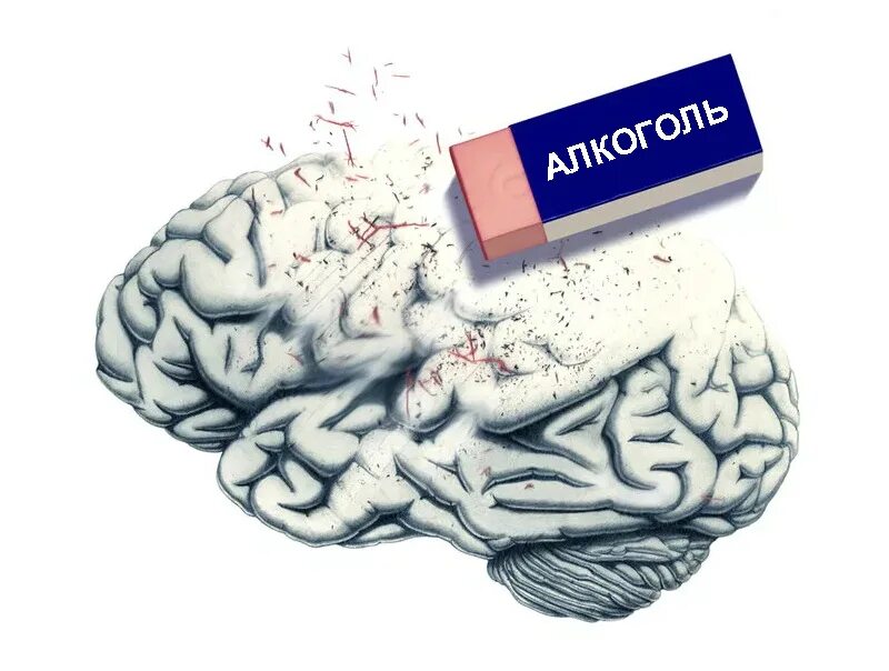 Мозг память. Мозг и память после 40