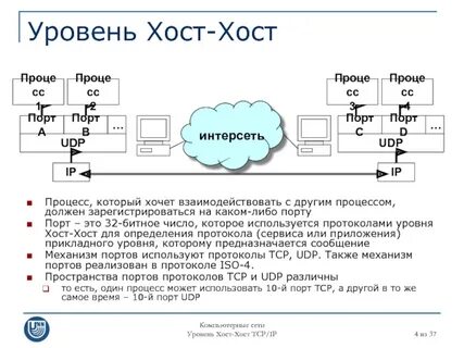 Хост билеты