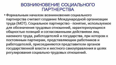 Происхождение социальных организаций