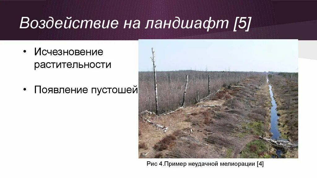 Осушение болот рационально или нерационально. Воздействие на ландшафты. Последствия осушения болот. Последствия осушения почв. Мелиорация болот.