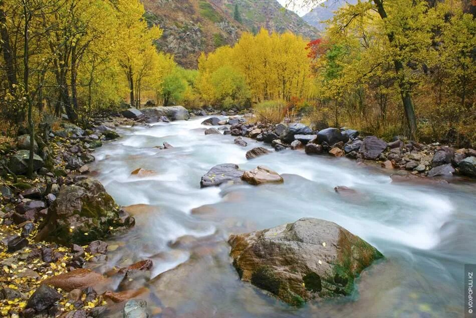 ағып жатыр бұлақ жағасында. ағып жатыр бұлақ жағасында. коккольский водопад. водопад арасан казахстан. тургеньские водопады алматы.