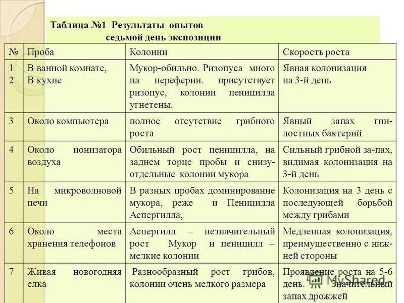 Сходства мукора и пеницилла