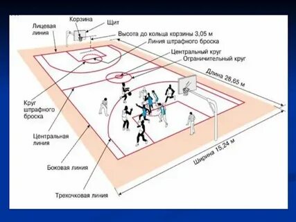 Трехочковая линия в баскетболе расстояние