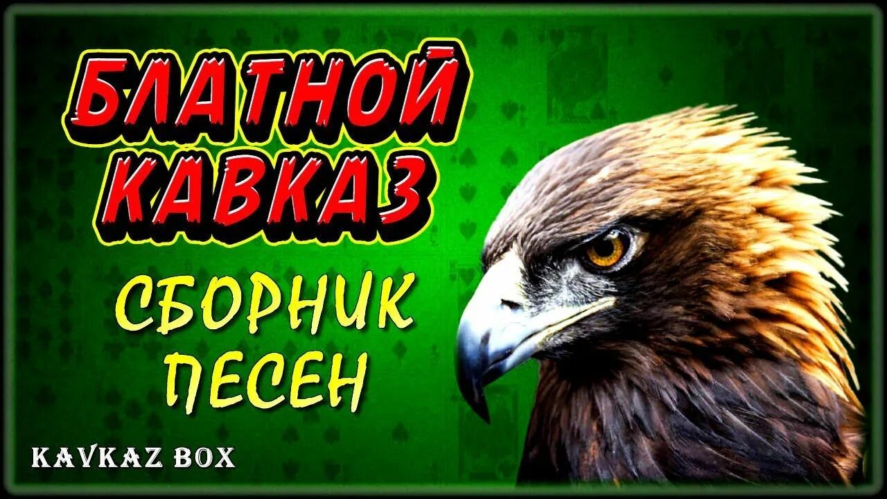 Кавказский сборник 2023. Кавказский сборник. Сборник кавказский шансон. Кавказские блатные песни. Блатной кавказский шансон.