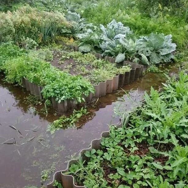 Вода в огороде. Водяные грядки. Грядки на воде. Водный огород.