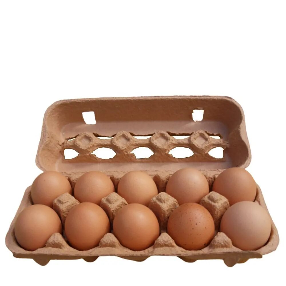 Egg 10. A dozen Eggs Clipart PNG. 10 Eggs PNG.