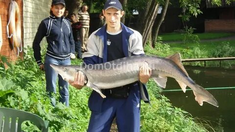 Рыбный на вднх