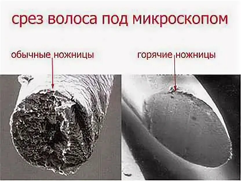 Как определить повреждение волос. Срез волоса под микроскопом. поврежденный волос под микроскопом. срез волоса машинкой и ножницами под микроскопом. срез горячими ножницами.
