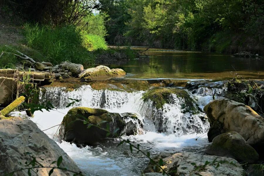 Река бельбек фото КРЫМ, РЕКА БЕЛЬБЕК. А НА ТОМ БЕРЕГУ НЕЗАБУДКИ В ЦВЕТУ... 2022 Ксения Подлесная В