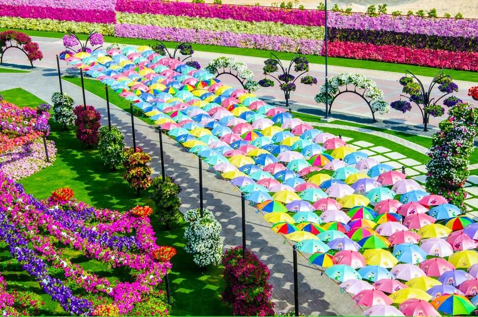 Самый большой парк. Сад в Дубае Миракл Гарден. Миракл Гарден сад цветов. Мушхириф парк Дубай. Цветочные поля — Дубайский чудо-сад.