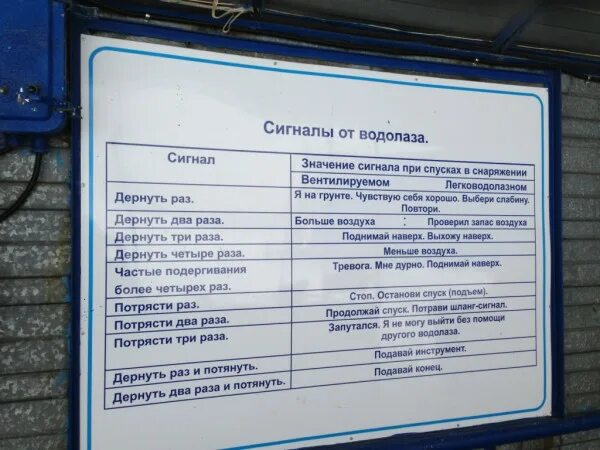 сигналы водолазов. язык жестов дайверов. таблица сигналов водолазов. сигналы водолазов. таблица перестукивания.