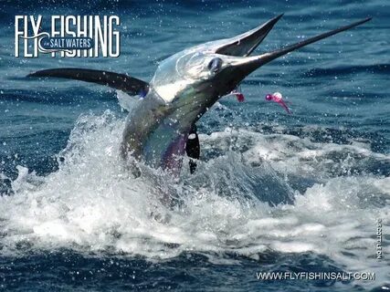 Marlins dreaming