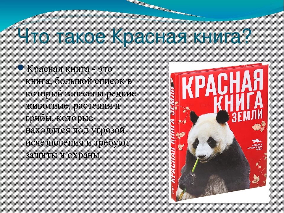 Международная книга россии. Что такое красная книга кратко. Штотокое краснаякгнега. Что Такео красная книг. Международная красная книга.