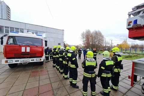 Службы зеленограда