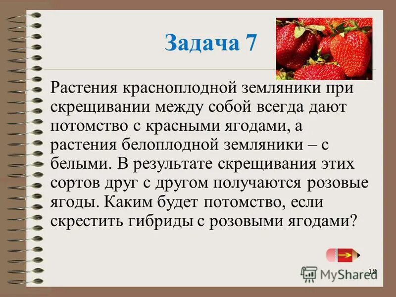 Гибридные абрикосы получены в результате опыления красноплодных. При скрещивании красноплодной земляники. От скрещивания сортов земляники. Растения красноплодной земляники при скрещивании между собой. При скрещивании красноплодной и белоплодной земляники были получены.