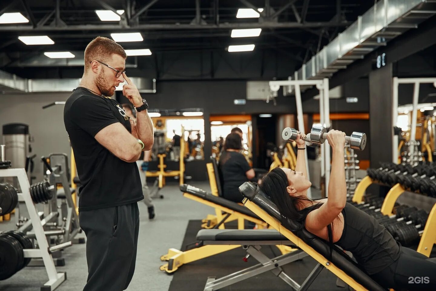 Голд джим благовещенск бассейн. Тренажерный зал gold's gym. Gold gym благовещенск. Extreme gym чита. Bb gym благовещенск.