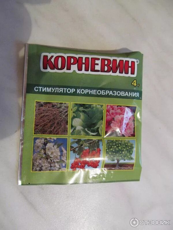 Самые лучшие условия для корнеобразования растений туман. Самые лучшие условия для корнеобразования растений туман