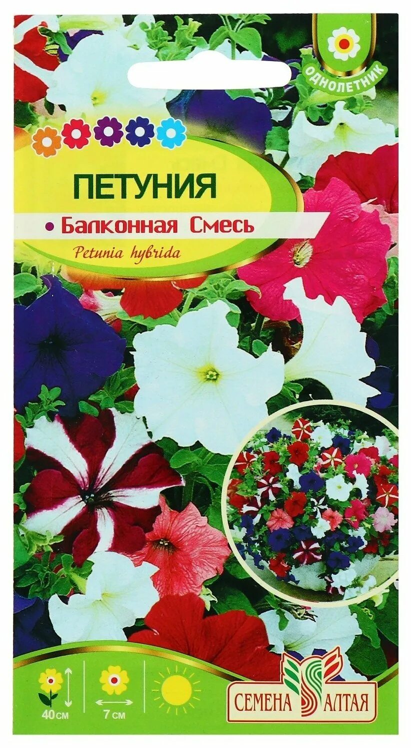 Петуния балконная смесь фото. Петуния цветы балконная смесь. Петуния многоцветковая смесь балконные. Семена петунии ампельная смесь.