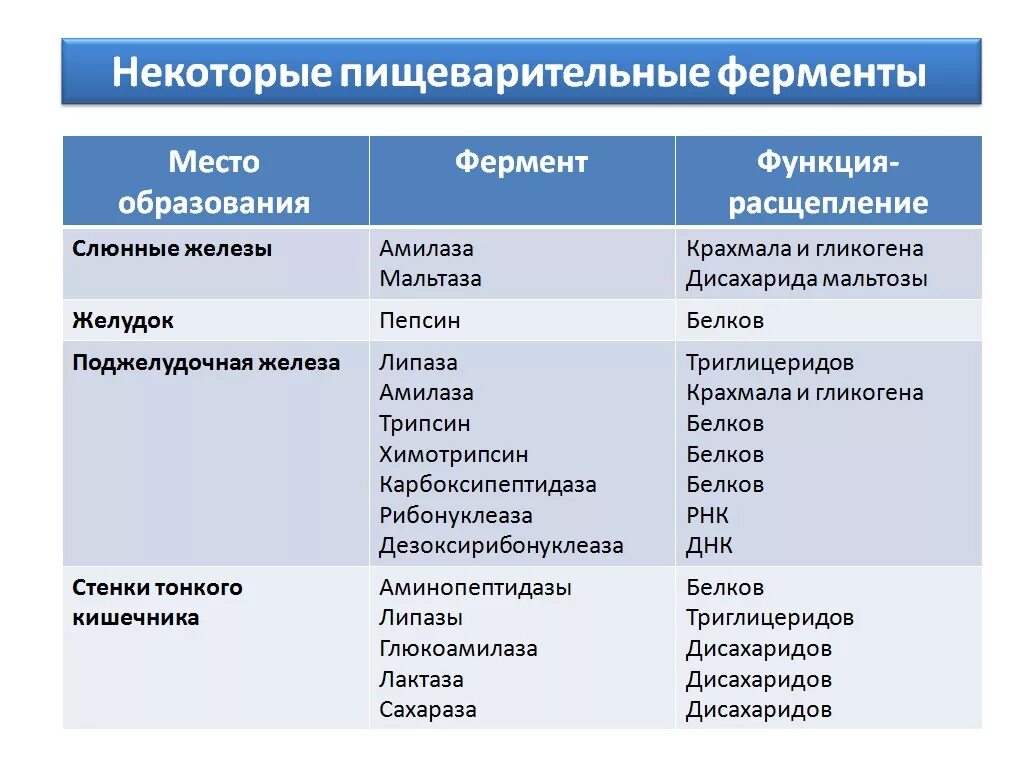 Чем заменить ферменты