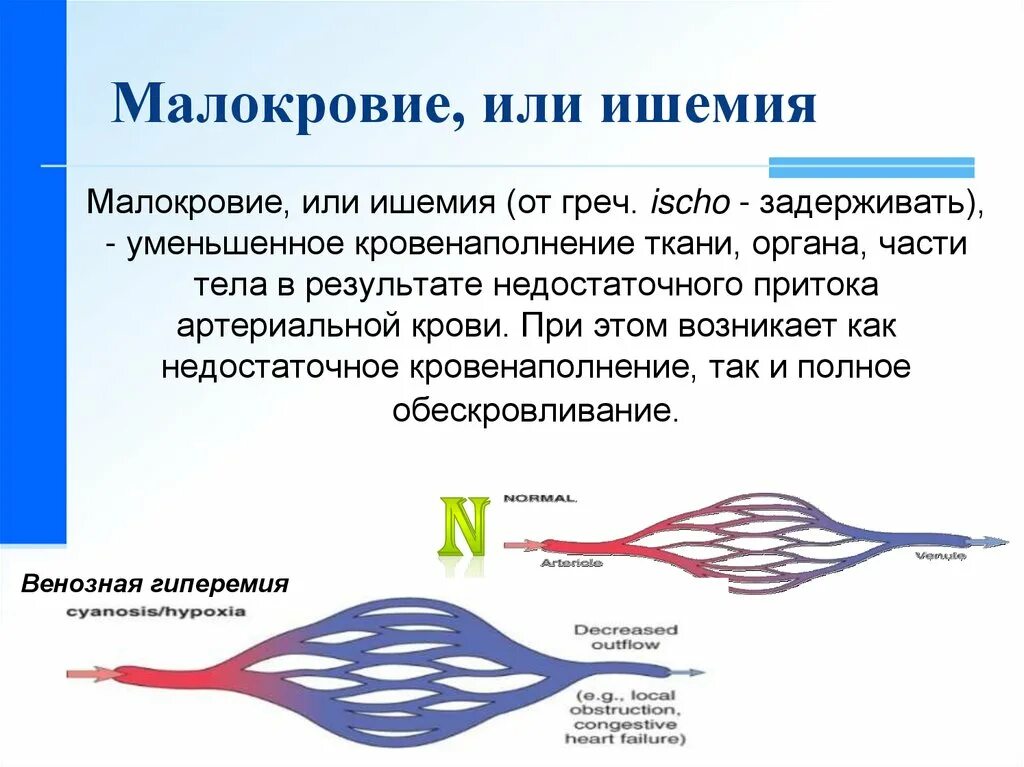 Нарушение кровообращения тесты