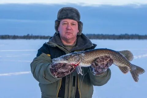 Погода в каменном хмао