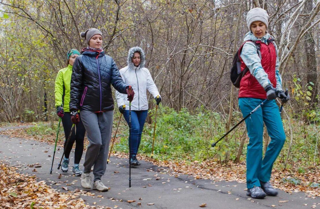 Скандинавская ходьба видео. Скандинавская ходьба с роликами. Quechua запчасти для палок для скандинавской ходьбы. Методика скандинавской ходьбы с палками для начинающих. Палки для ходьбы спортмастер.