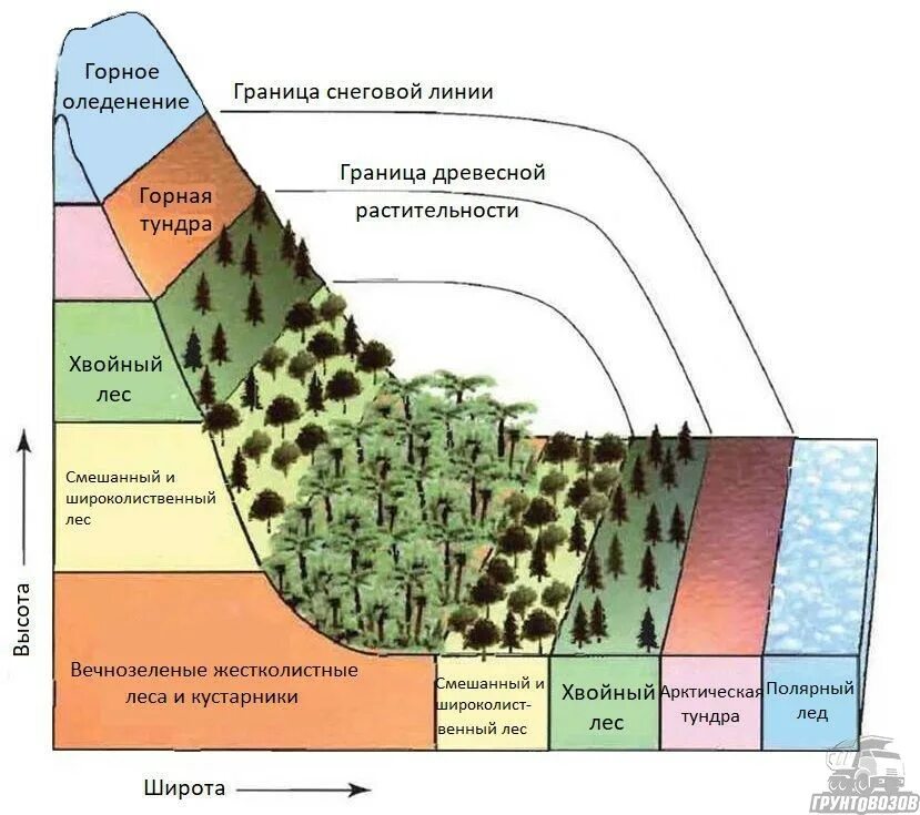 Высотная поясность почва. Высотная поясность и природный комплекс. Высотная зональность почв. Зональность Высотная поясность.