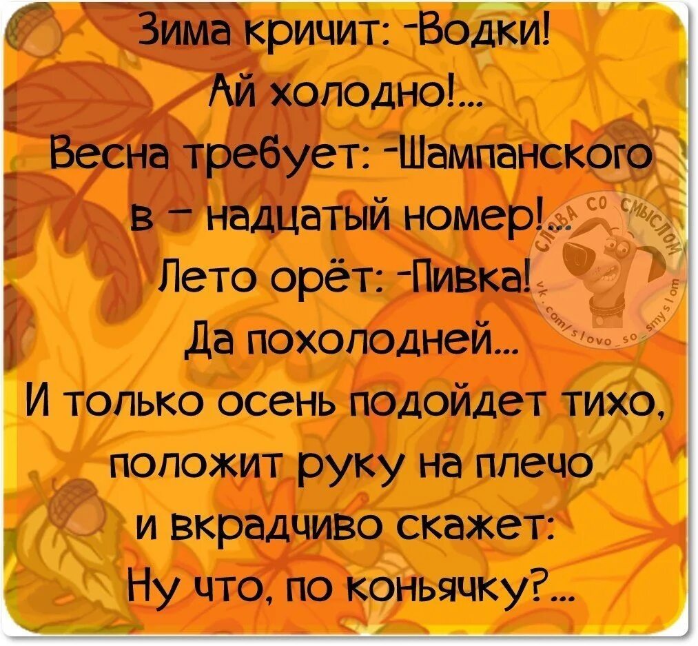 Смешные высказывания про осень. Осенние афоризмы Веселые. Анекдоты про осень. Осенние анекдоты.