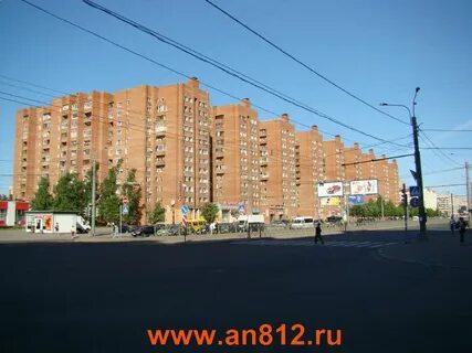 Просвещения выборгская