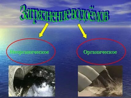 Вода органическое или неорганическое